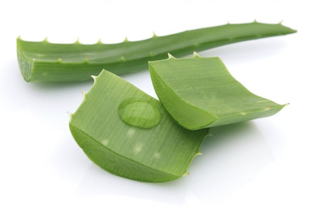 Aloe fir d'Behandlung vun thoracic Osteochondrose